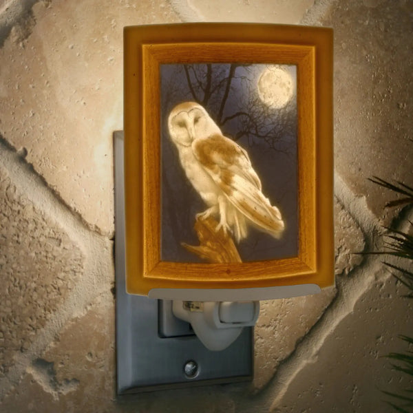 Owl Porcelain Lithophane Colored Night Light