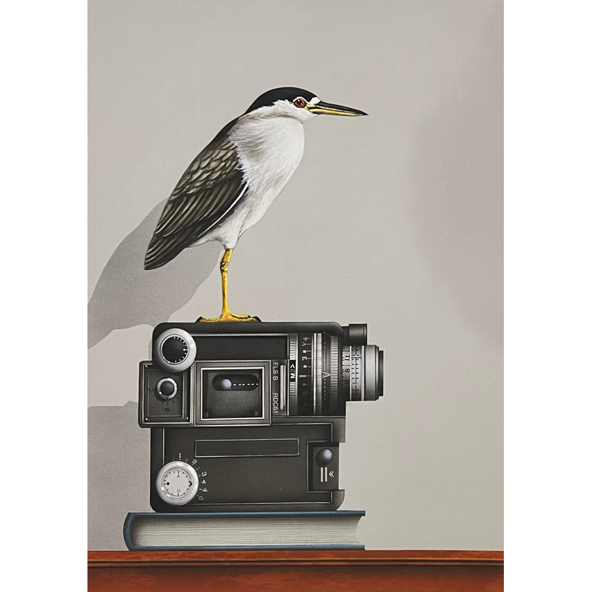 Bird Watching - giclee print