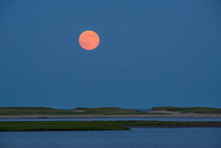 Super Moon Nauset Marsh