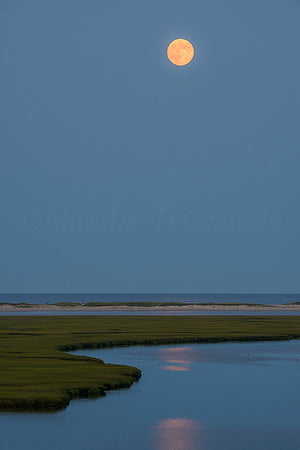 Super Moon Nauset Marsh