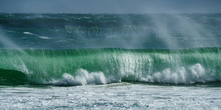 Curling Wave Nauset Beach