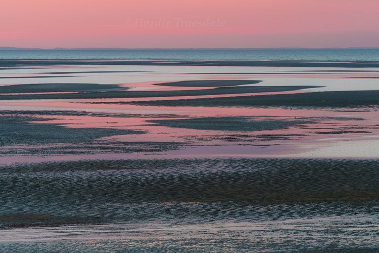 Pink Dusk Brewster Flats