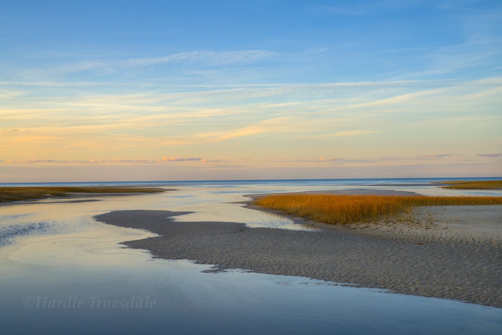 Evening Dune Grass Namskaket Marsh