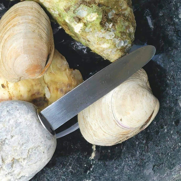 Oyster Knife