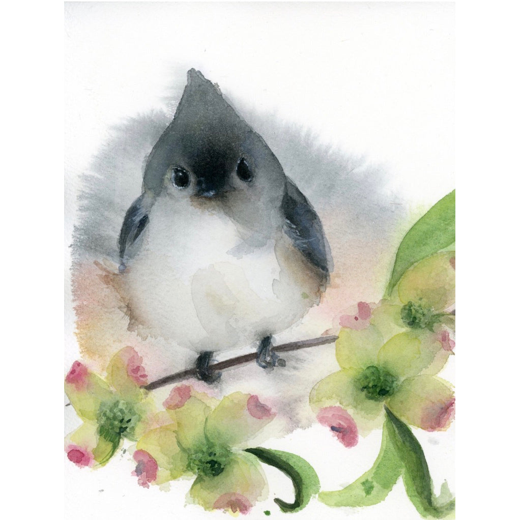 Tufted Titmouse #20066