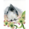 Tufted Titmouse #20066