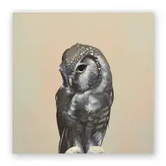 Owl 10 x 10