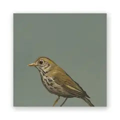 Thrush 8x8 Panel