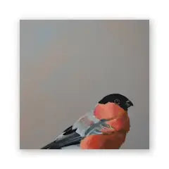 Bullfinch 8x8