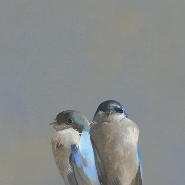 Swallow Pair 10x10 Panel